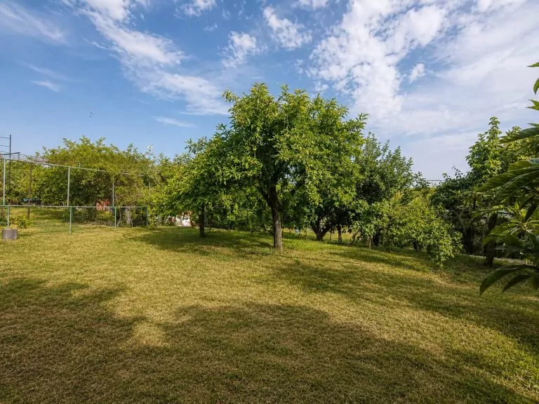 CHALET INDEPENDIENTE CON MÁS DE 1.000 M2 DE PARCELA EN VENTA EN PALOMEQUE-TOLEDO — Casalia Inmobiliaria, Parla (foto 13 de 40)