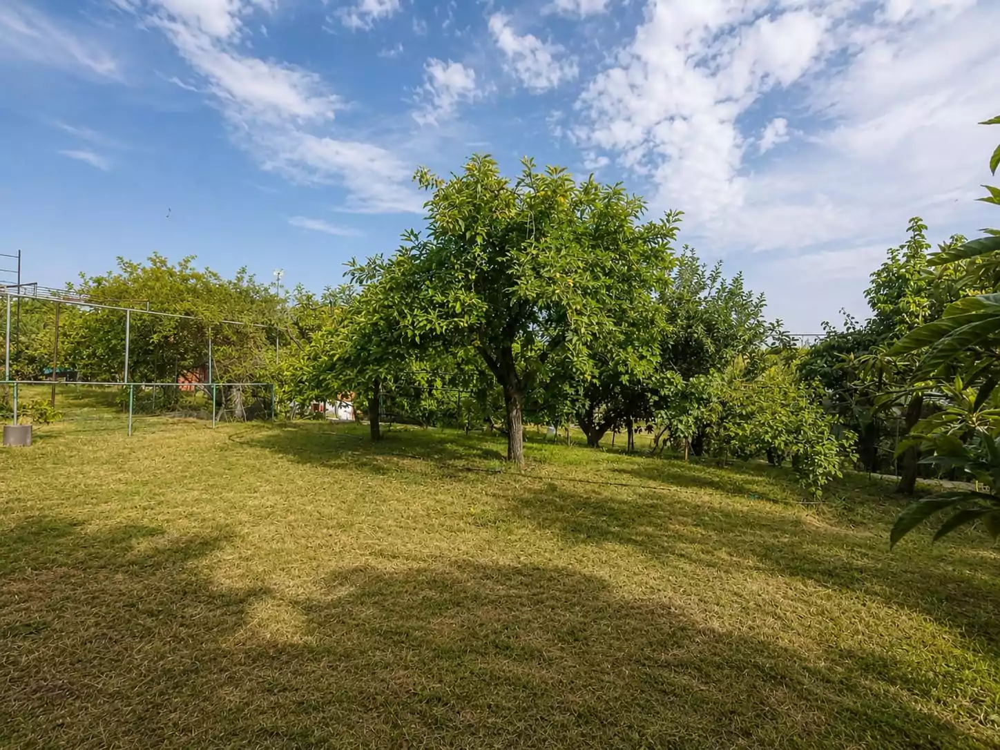 CHALET INDEPENDIENTE CON MÁS DE 1.000 M2 DE PARCELA EN VENTA EN PALOMEQUE-TOLEDO — Casalia Inmobiliaria, Parla (foto 13 de 40)